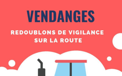 vigilance vendanges
