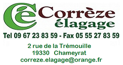travaux d’élagage