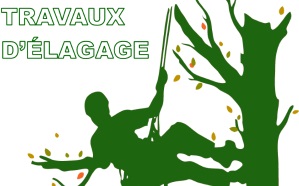 Travaux d’élagage