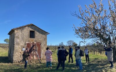 La balade des cabanes de vignes