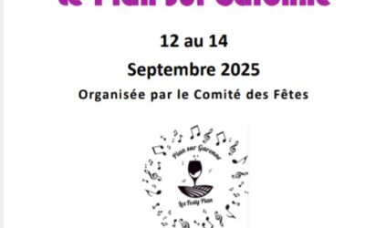 fête du village