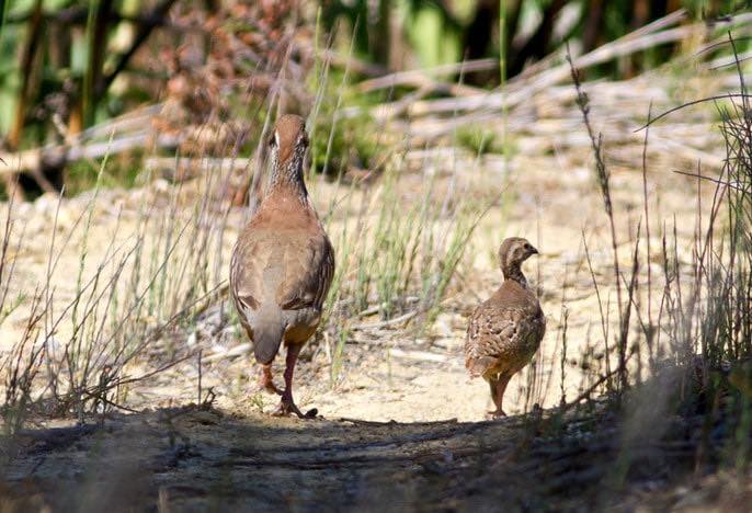 668411178 1542388560767912 8038276436483405628 n