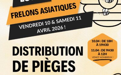Distribution de pièges à frelons