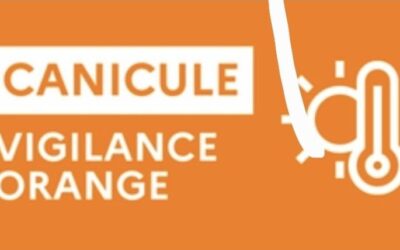Canicule – Vigilance Orange