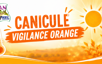 Rappel des consignes en cas de Canicule